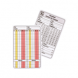 Cartes d’arbitrage handball x10