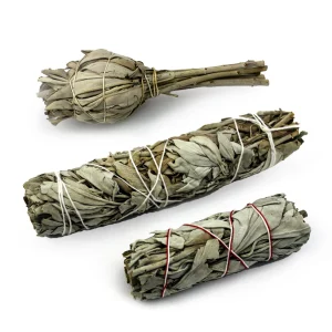 Sauge Blanche en vrac